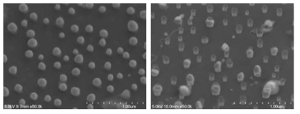 질화물 나노선 성장용 핵생성층의 표면(왼쪽) 및 tilt-view(오른쪽) SEM 이미지
