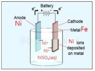 Ni 전기 도금 구성도