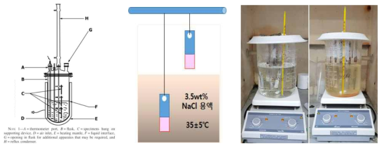 부식 실험에 사용된 부식 Cell 및 실험 방법