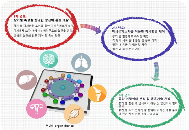 연차별 연구 목표