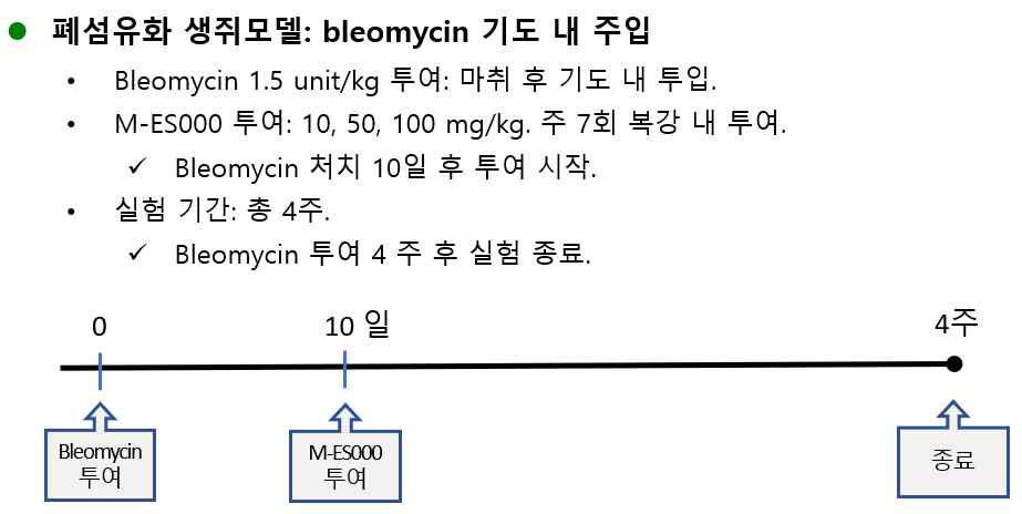 실험동물 폐조직에서 시행한 헤마톡실린-에오신 염색 결과