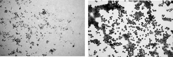제조한 실리카 입자의 SEM 사진. (좌) 나노입자 평균 크기는 100 um. (우) 마이크로 입자 평균 크기는 3 um