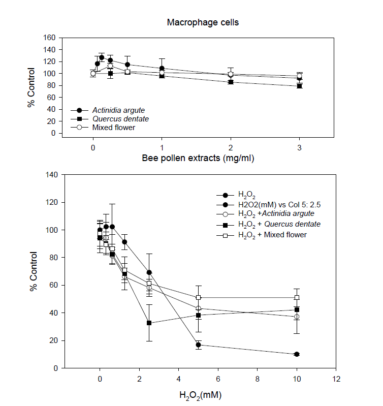 Protection of macrophage cells against the oxidative stress by bee pollen extracts