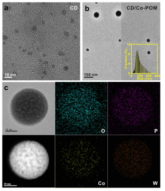 CD-Cl/Co-POM의 TEM 이미지