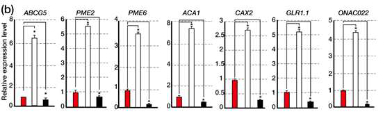 qRT-PCR을 이용한 RNA-sequencing 검증