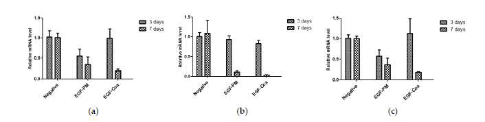 Proinflammatory cytokine levels. with EGF-PM 과 EGF-Coa로 투여된 당뇨유발 마우스의 3일과 7일째 상처부위의(a) IL-6, (b) IL-1, 및 (c) TNF-α 레벨의 감소를 나타냄