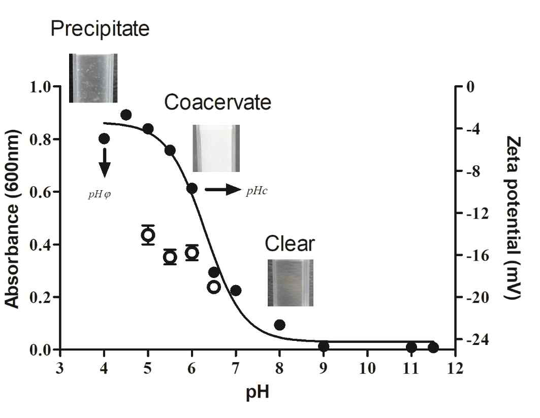 gelatin과 alginate 비율이 4:1일 때 pH에 따른 BSA coacervate의 turbidity 와 zeta potential의 변화
