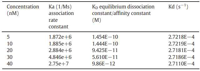 Association and dissociation constant of BSA to GA determined by SPR