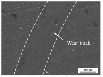 SEM micrograph of the worn surface at lubricated condition (load=3.5N)