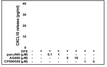JAK-STAT 신호전달경로 억제에 의한 CXCL10 분비량의 변화