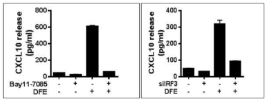 Bay11-7085와 siIRF3 처리에 의한 CXCL10 분비량의 변화