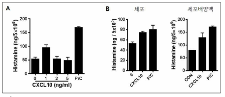 CXCL10 재조합 단백질 처리에 의한 히스타민 분비량의 변화. A. 농도별 변화, B. 세포 내, 세포 외 히스타민량 변화
