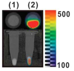 PET/CT images of tube phantom containing either unlabeled DCs (1) or labeled DCs (2)