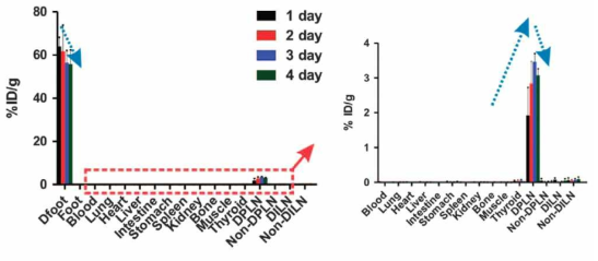 Biodistribution of labeled DCs in whole organs after injection through the footpad. The red box indicates the magnified data to clearly show radioactivity changes in DPLNs. %ID/g, percentage injected dose per gram