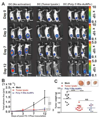 Enhanced antitumor immunity to cervical cancer by Poly-Y-RIe-AuNPs-labeled DCs in mice