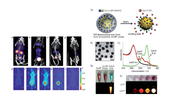 분자영상을 위한 금나노입자 활용. (left) 핵의학영상과 광학영상이 가능한 골드파티클. (right) 골드입자를 이용한 광학 MMP sensor 제작
