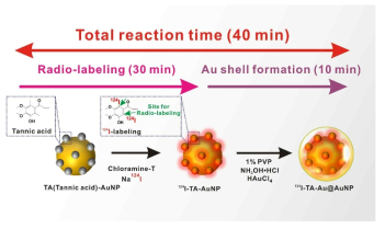 방사성요오드-표지된 탄닌산 금 코어-쉘 나노입자의 제조