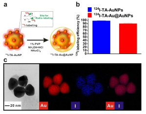 Radiolabeled Tannic acid gold nanoparticles with gold shell