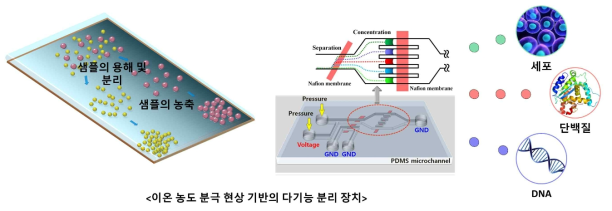 연구 목표의 모식도