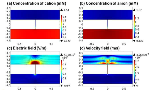 COMSOL 프로그램을 이용한 이온 농도 분극 현상의 수치 해석