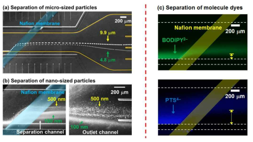 기개발한 입자 분리 장치 결과. (a) 마이크로 입자의 분리, (b) 나노 입자의 분리, (c) molecule dye 분리