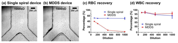 Single spiral device와 MDDS의 적혈구/백혈구 분리 결과 비교. (a) single spiral device, (b) MDDS device, (c,d) single spiral device와 MDDS device의 채널 안쪽 outlet(IW outlet)에서의 적혈구/백혈구 회수율