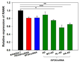 RT-PCR에 의한 RANK mRNA 발현양 비교