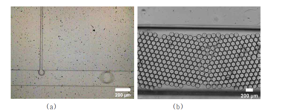 Microscopic images of monodisperse micro-droplet from HAR microchannel device