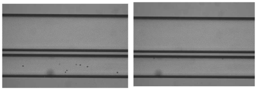 Experimental results for the migration of particles (left: signal off, right: signal on)