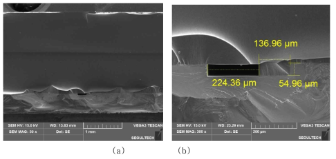 SEM images of (a) the acoustophoretic device with lateral PDMS wall, and (b) the microchannel