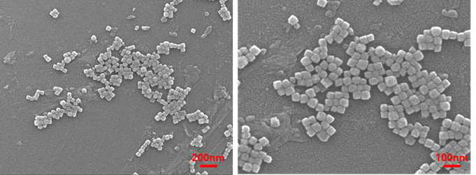 합성된 copper nitride 의 SEM 사진