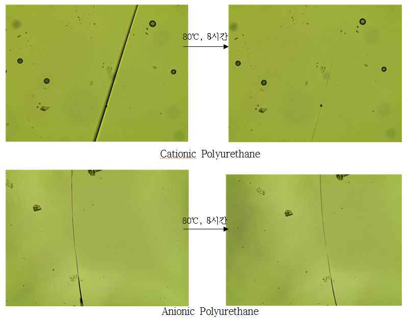 양이온 또는 음이온을 가지는 polyurethane 코팅된 표면의 자가치유 특성 평가 (좌: 자가치유 전, 우: 자가치유 후)