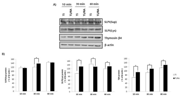 Effect of RA on SLPI and thymosin β4 protein expression in MC3T3-E1 preosteoblasts on Ti surface