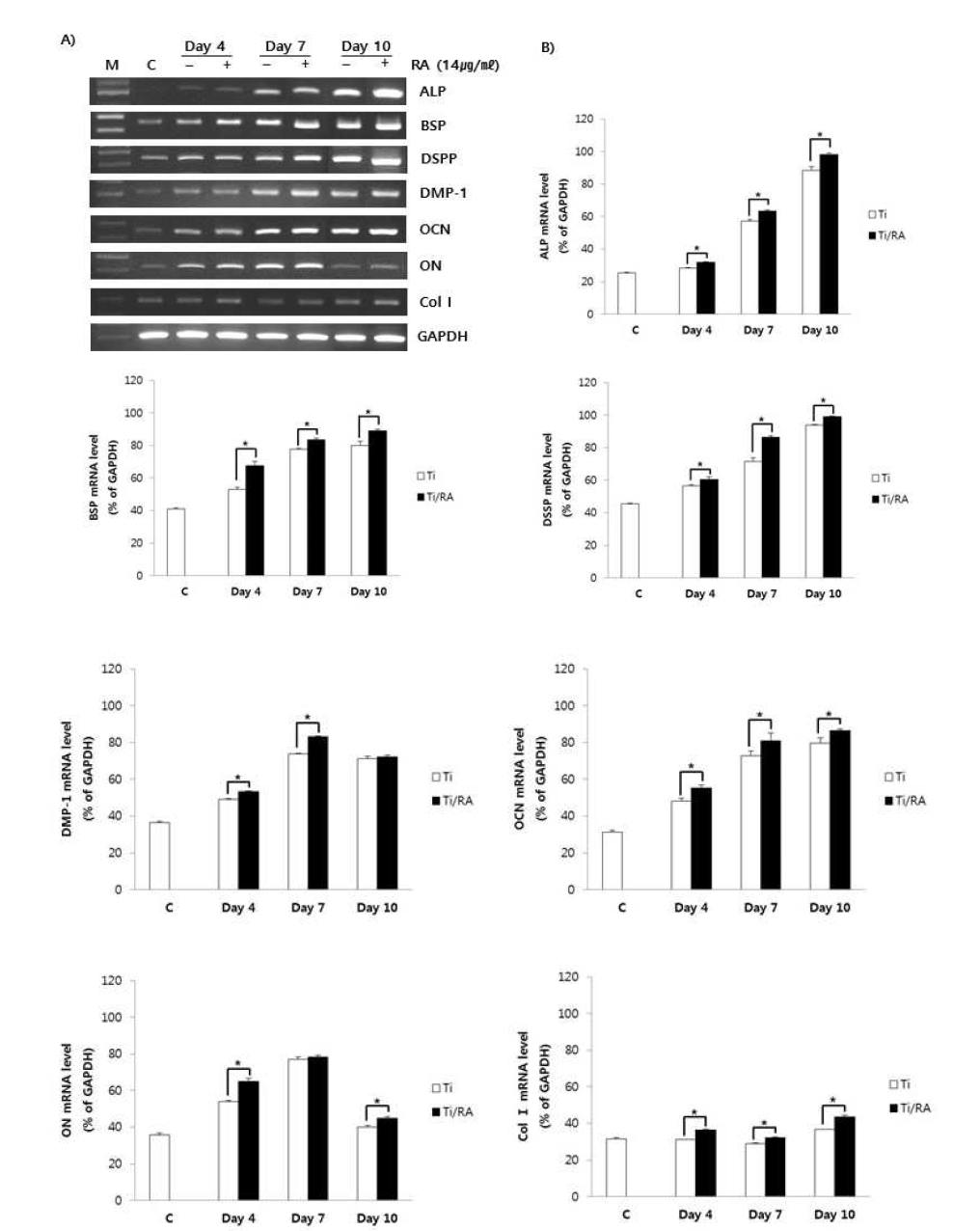 Effect of RA on expression of non-collagenous and collagenous genes in MC3T3-E1 cells on Ti surface during differentiation