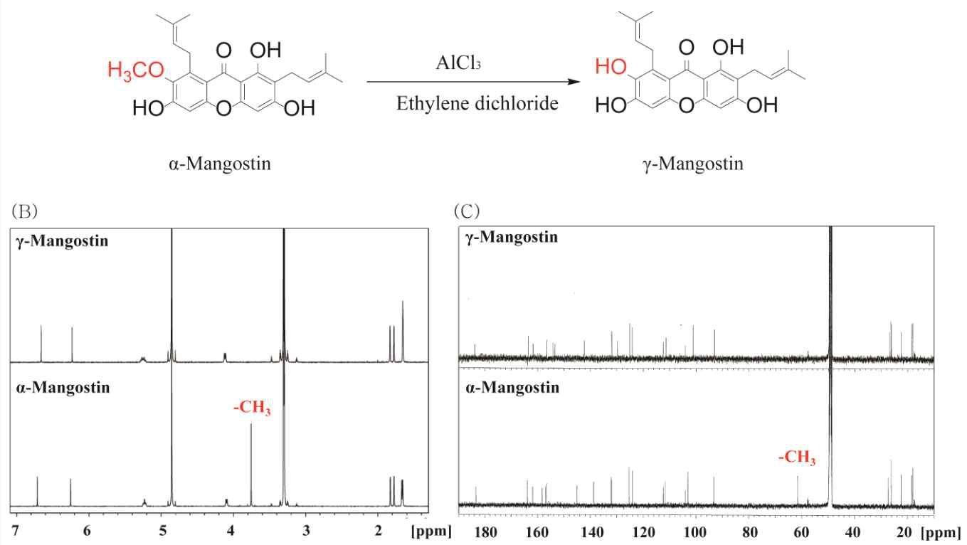 γ-망고스틴의 1H NMR과 13C NMR