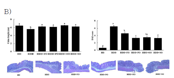 Macroscopic score, colon length , and H & E staining of the colon