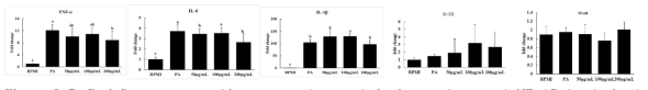 Proinflammatory cytokines, macrophage polarization markers, and NF-kB levels in the colon
