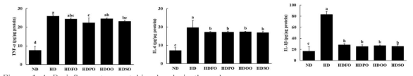 Proinflammatory cytokine levels in the colon