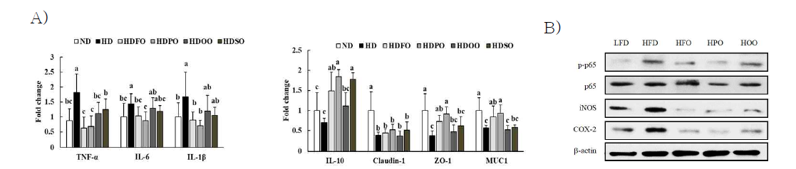 The mRNA and protein expression levels in the colon : proinflammatory markers, Intestinal defense barrier and integrity markers, and NF-kB activation