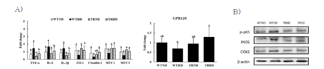 The mRNA and protein expression levels in the colon : proinflammatory markers, Intestinal defense barrier and integrity markers, and NF-kB activation