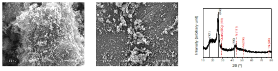 SEM images (left and middle) and XRD pattern (Right) of CNF