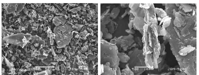 SEM micrographs of graphene at various magnifications