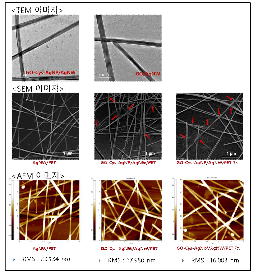 GO-Cys-AgNP/AgNW와 GO/AgNW의 TEM 이미지; AgNW/PET, GO-Cys-AgNP/AgNW/PET 그리고 GO-Cys-AgNP/AgNW/PET Tr.의 SEM과 AFM 이미지