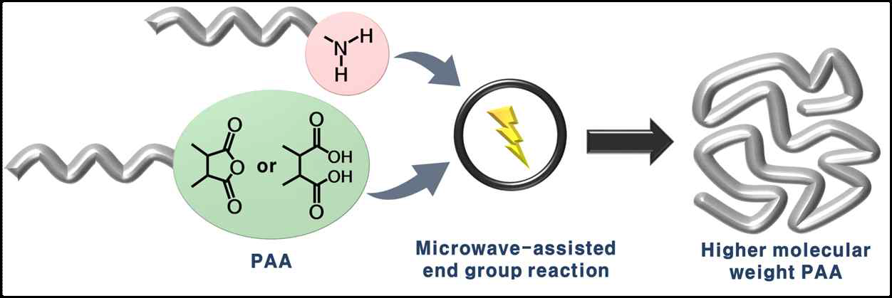 고 분자량 PAA를 형성하는 MW 보조 말단기 반응의 모식도