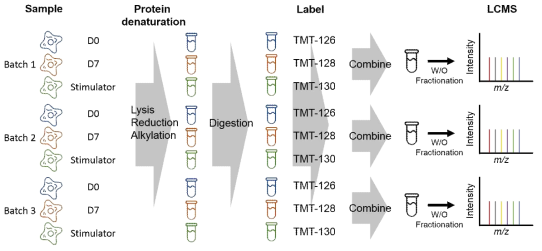 Proteomics profiling workflow