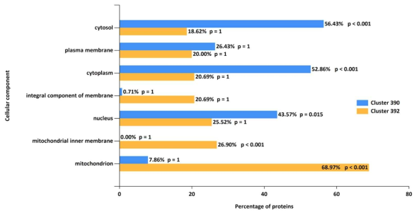 Cluster 390 (D7에서 감소되는 단백), Cluster 392 (D7에서 증가되는 단백)의 cellular component 특성