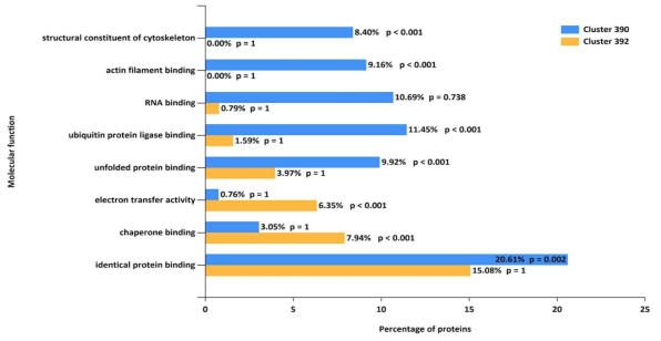 Cluster 390 (D7에서 감소되는 단백), Cluster 392 (D7에서 증가되는 단백)의 molecular function 특성