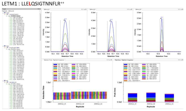 LETM1 SIS peptide에 대한 MRM transition 확인 결과