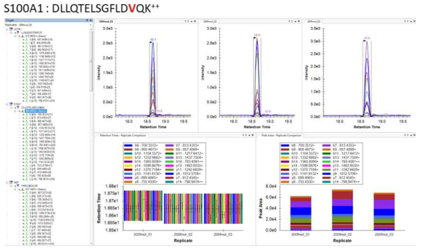 S100A1 SIS peptide에 대한 MRM transition 확인 결과