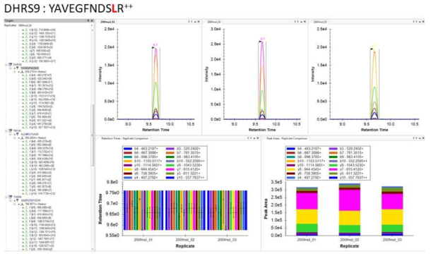 DHRS9 SIS peptide에 대한 MRM transition 확인 결과